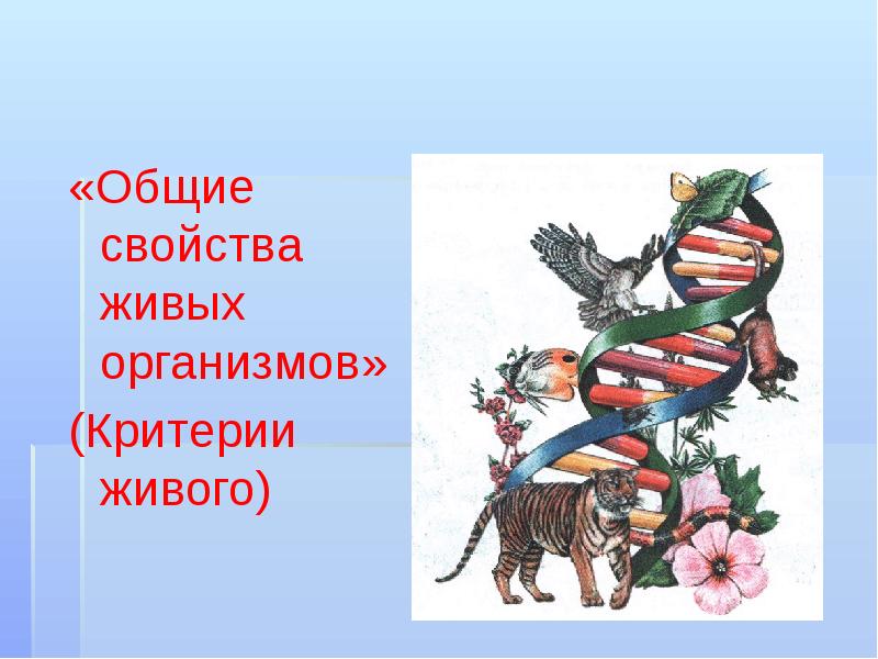 «Общие свойства живых организмов» (Критерии живого)