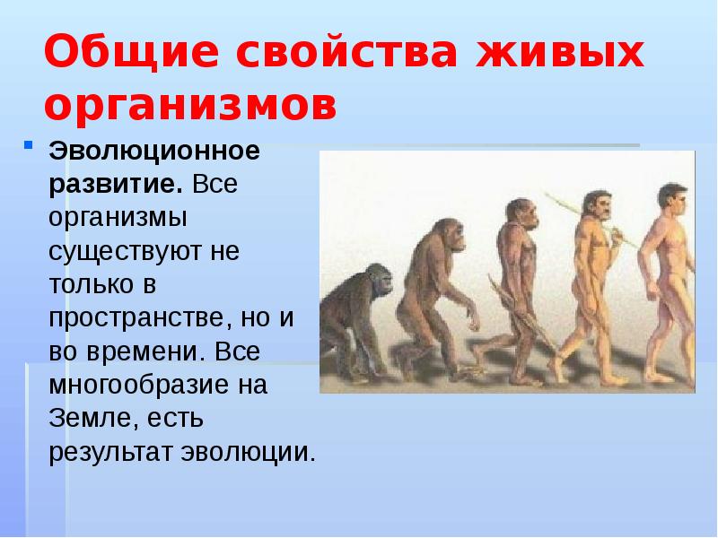 Общие свойства живых организмов Эволюционное развитие. Все организмы существуют не только