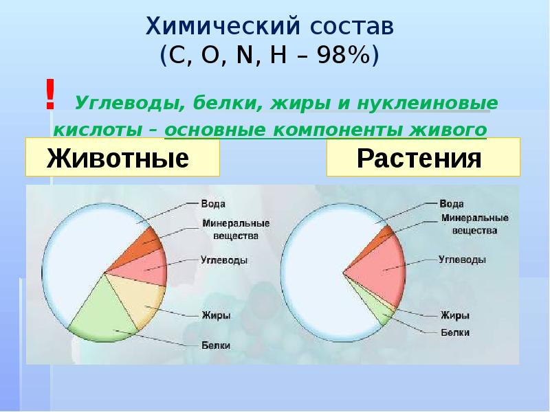 На диаграммах представлено содержание основных химических веществ в клетках растений и животных впр