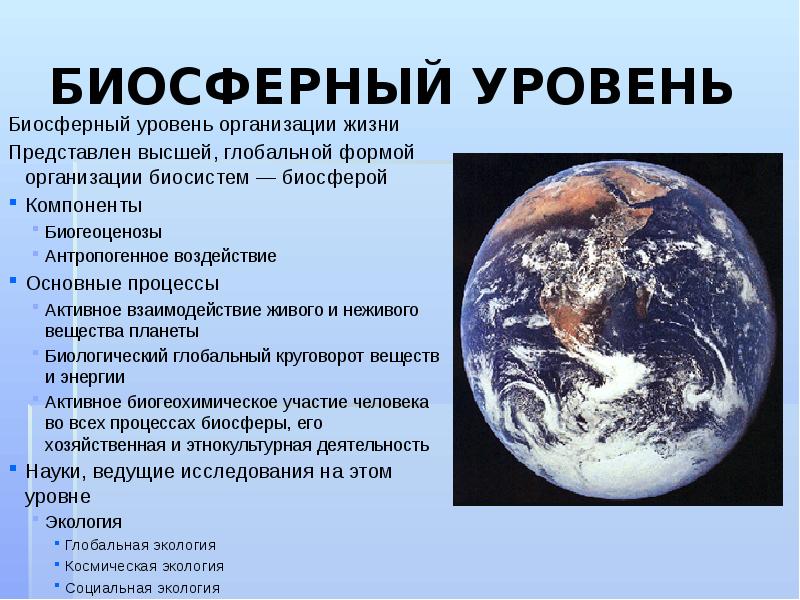БИОСФЕРНЫЙ УРОВЕНЬ Биосферный уровень организации жизни Представлен высшей, глобальной формой организации