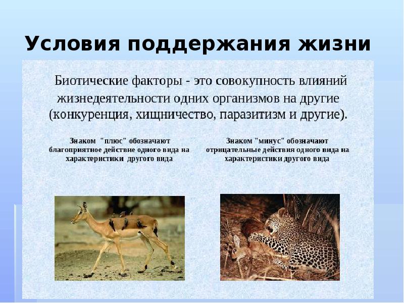 Условия поддержания жизни