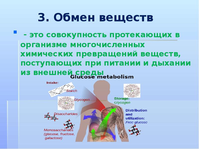 3. Обмен веществ  - это совокупность протекающих в организме многочисленных