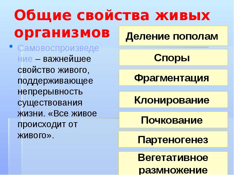 Раздражимость свойство живых организмов презентация