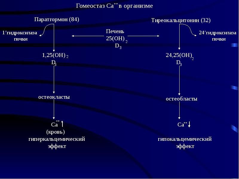 Биохимия картофеля презентация