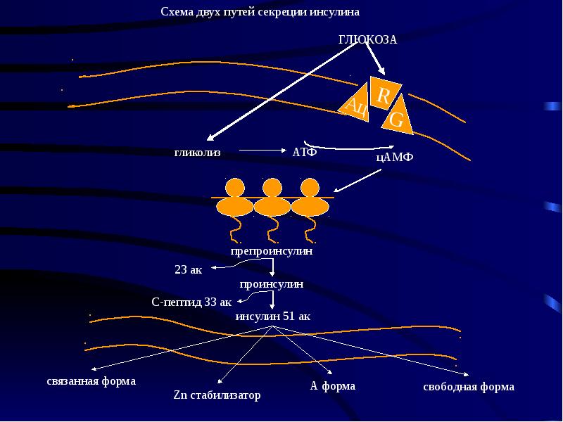 Гормоны презентация по биологии 11 класс