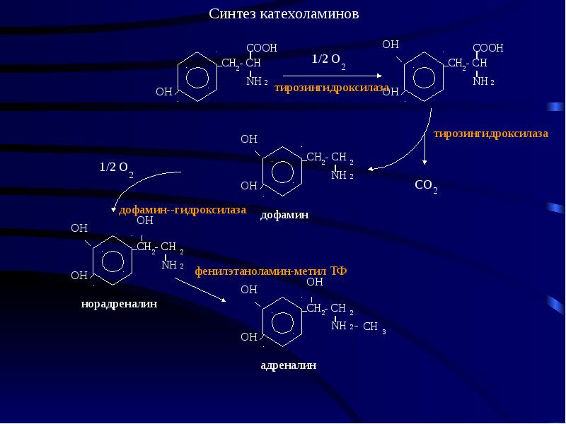 Схема синтеза дофамина