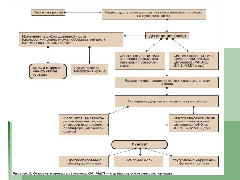 Патогенез остеоартроза презентация