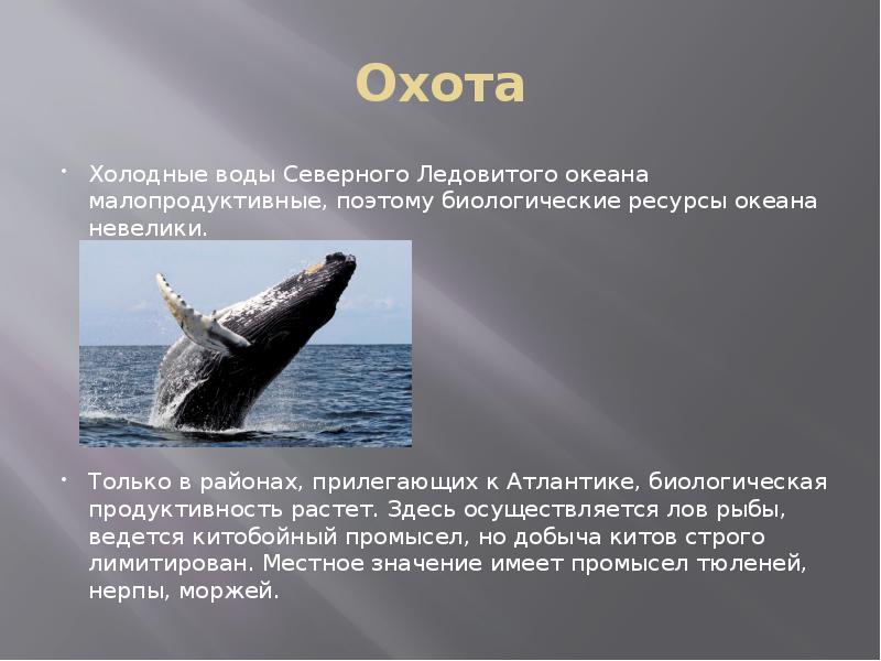 Природные ресурсы северного ледовитого океана. Ресурсы Северного Ледовитого океана. Биоресурсы Северного Ледовитого океана.