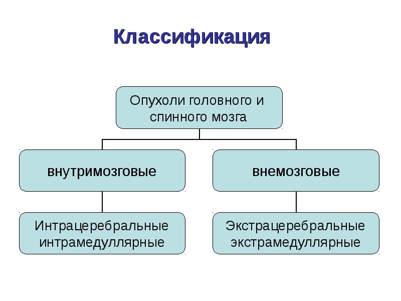 Опухоли головного и спинного мозга презентация