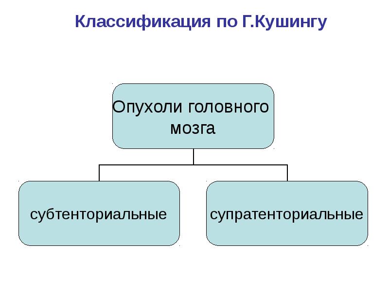 Опухоли головного и спинного мозга презентация