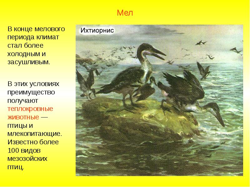 Мезозойская Эра птицы. Млекопитающие и птицы мелового периода. Меловой период животные таблица. Неживая природа мелового периода.