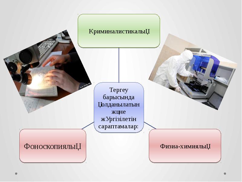 Пара алу презентация