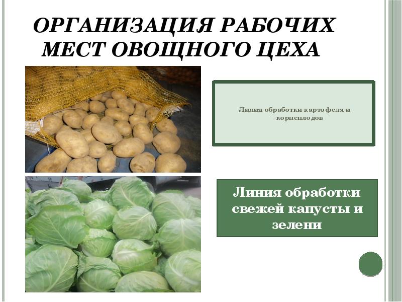 Овощной цех презентация