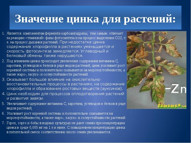 Химический элемент цинк