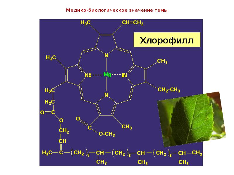 Реферат: Комплексные соединения, их биологическая роль (на примере хлорофилла и гемоглобина)