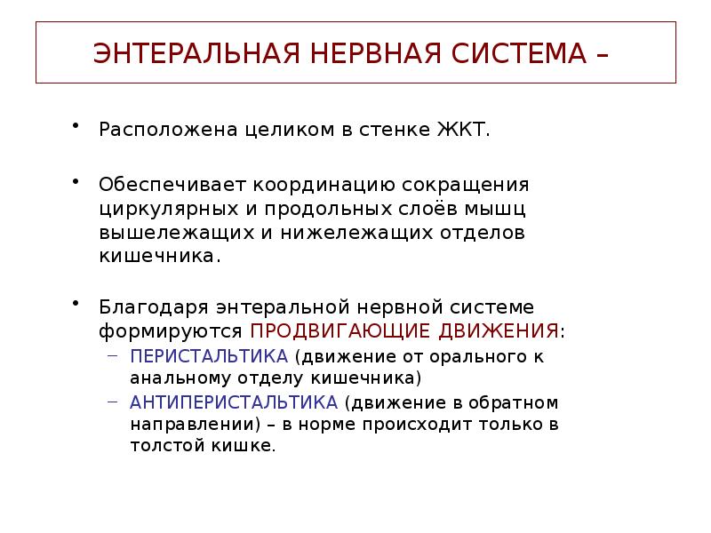 Энтеральная нервная система. Энтеральная нервная система кишечника. Энтеральная нервная система схема. Функции энтеральной нервной системы.