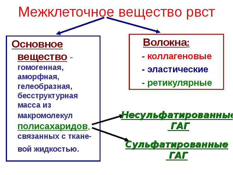 Общем веществ. Межклеточное вещество РВСТ. Основное вещество. Аморфное вещество межклеточного вещества. Основное вещество РВСТ.