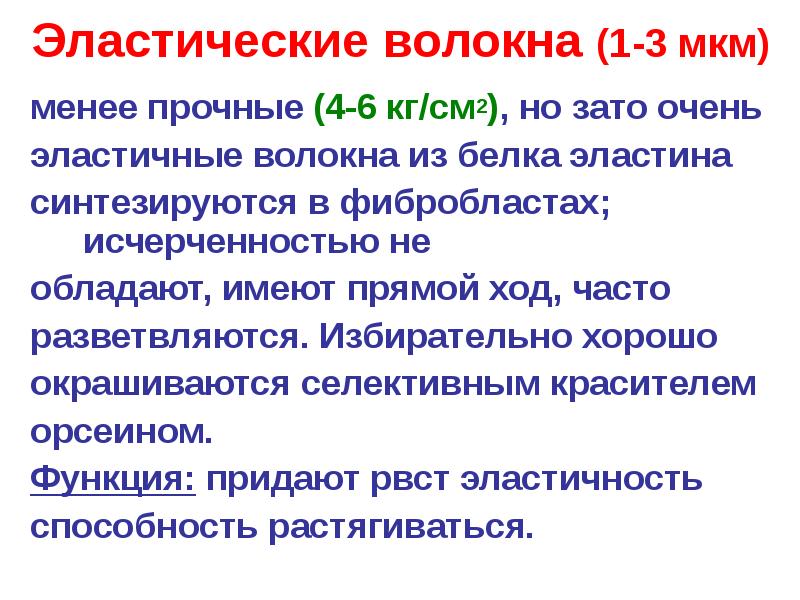 строение эластических волокон. эластическая соединительная ткань локализация. эластичные волокна. эластические волокна в мокроте микроскопия. коллагеновые волокна соединительной ткани гистология.