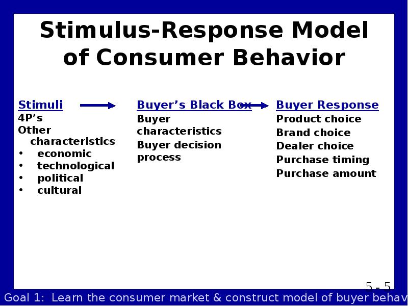 Реферат: Consumer behavior