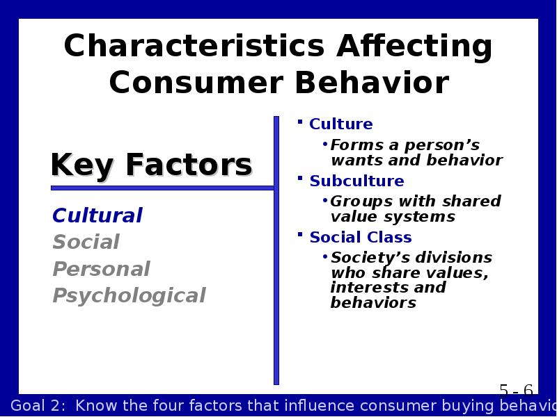 Реферат: Consumer behavior