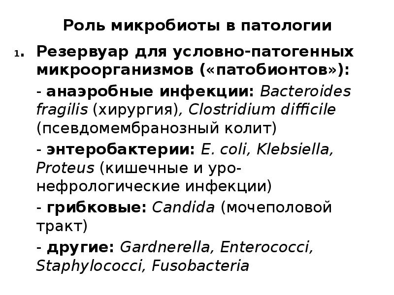 Микрофлора человека дисбактериоз презентация