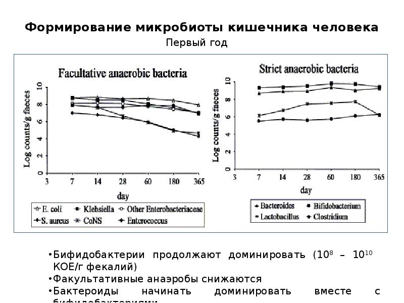 Микрофлора человека тест