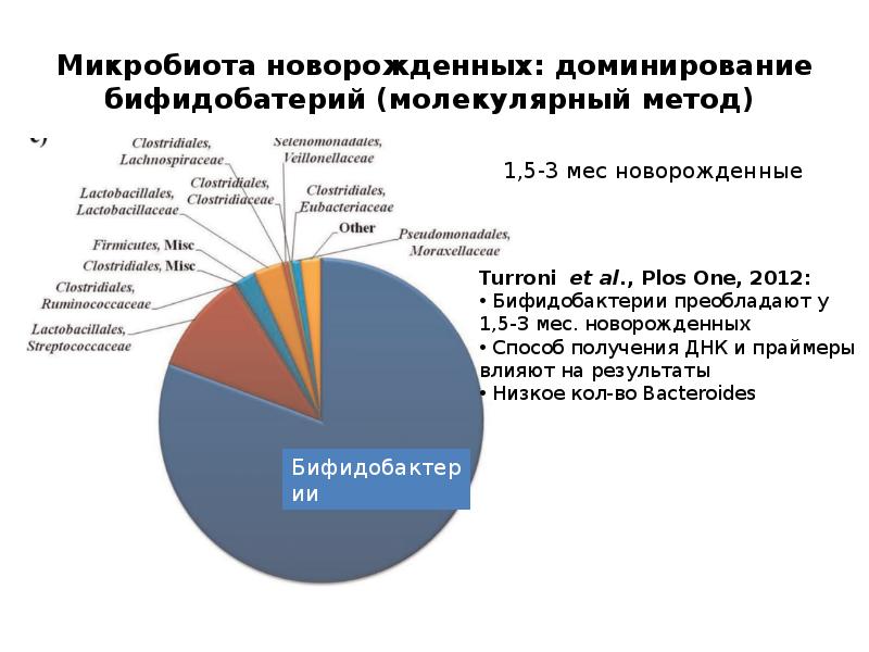 Микрофлора человека дисбактериоз презентация