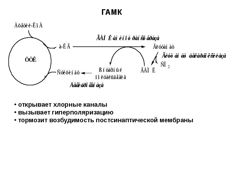 Гамк. ГАМК шунт. Образование ГАМК. ГАМК шунт биохимия. Синтез ГАМК.