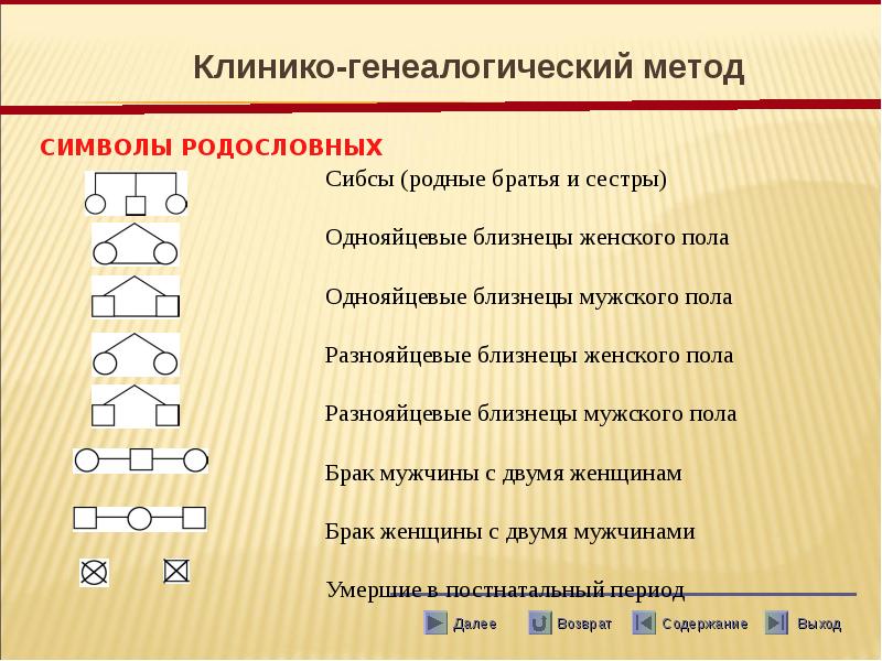 Семейный метод. Клинико-генеалогический метод. Клиникогенолтгический метод. Этапы генеалогического метода. Этапы клинико генеалогического метода исследования.