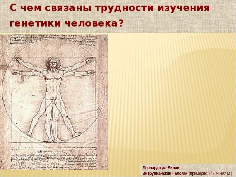 С чем связаны трудности изучения генетики человека?
С чем связаны трудности С чем связаны трудности изучения генетики человека?
С чем связаны трудности
