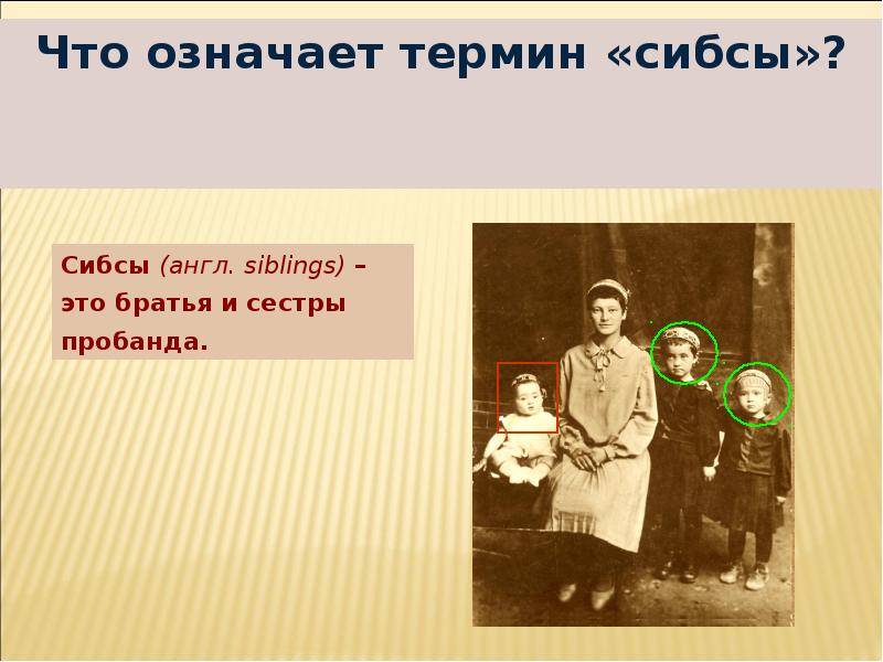 Что означает термин «сибсы»?
Что означает термин «сибсы»? Что означает термин «сибсы»?
Что означает термин «сибсы»?