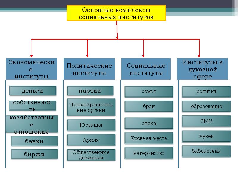 Общество как сложная динамическая система план