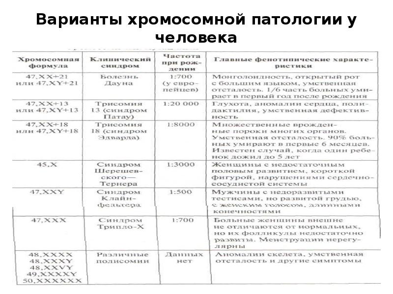 Методы генетических исследований человека проект по биологии 10 класса