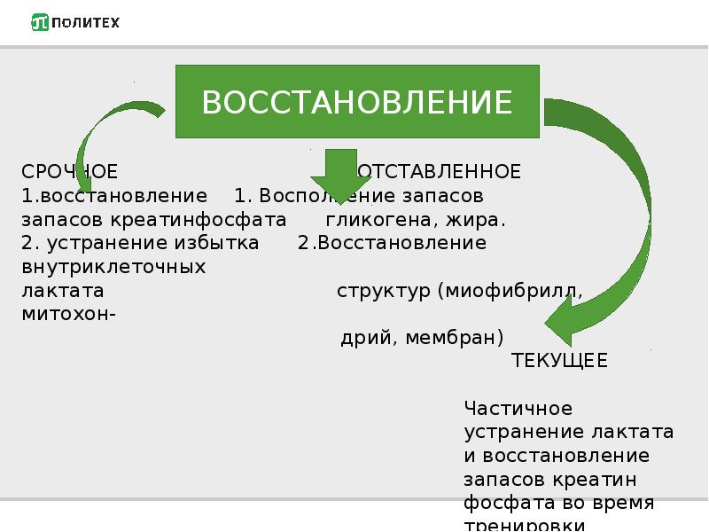 Биохимические основы питания презентация