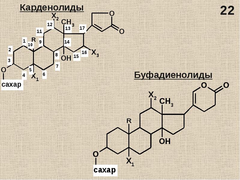 Сердечные гликозиды презентация