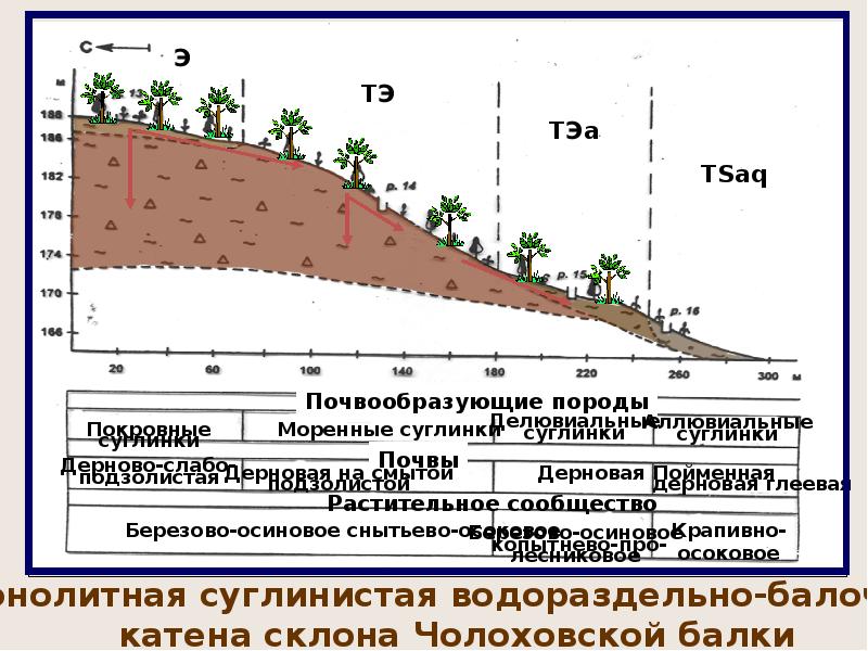 Геохимический ландшафт. Ландшафтно-геохимическая система. Каскадные ландшафтно-геохимические системы. Почвенно-геохимические ландшафты. Рельеф и почвообразующие породы.