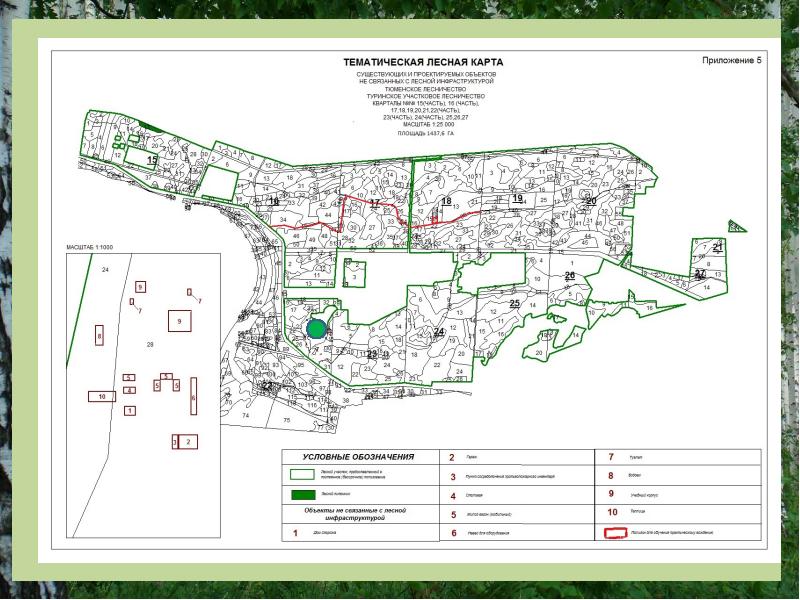 Карта лесного. План леса. План лесного участка. План лесных участков. Тематическая Лесная карта.