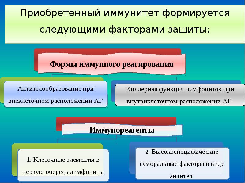 Основные формы иммунного реагирования. Формы иммунного реагирования. Формы иммунного реагирования организма микробиология.