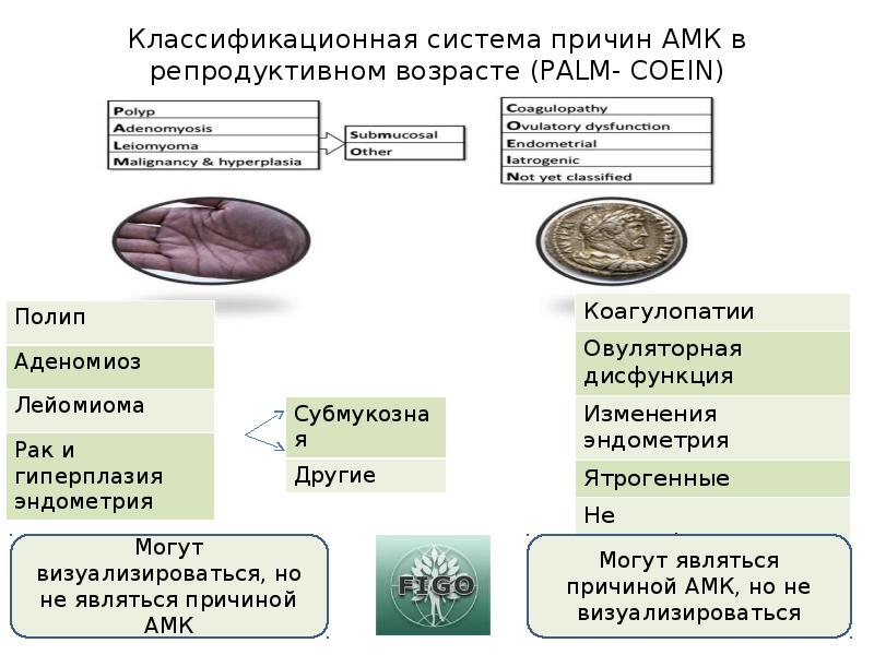 Аномальные маточные кровотечения презентация