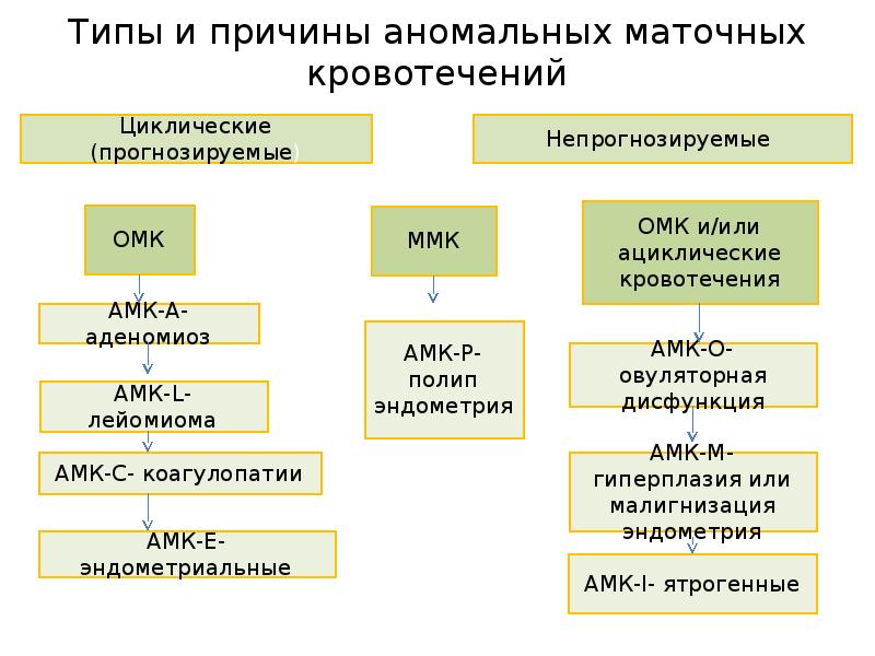 Аномальные маточные кровотечения презентация