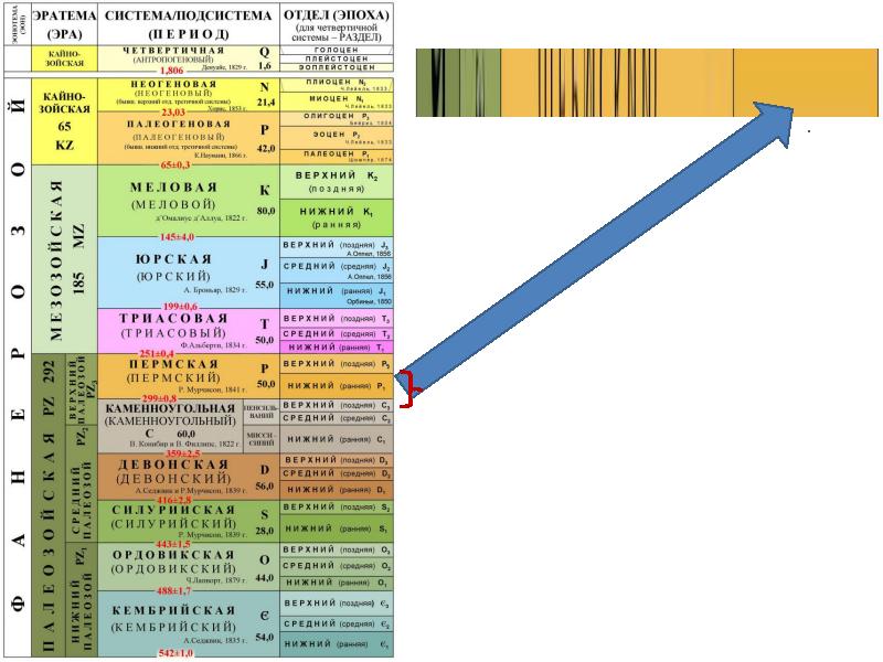 палеонтологические доказательства. эратемы. разделы палеонтологии таблица. филогенетические палеонтологические доказательства эволюции. схема развития жизни на земле биология.