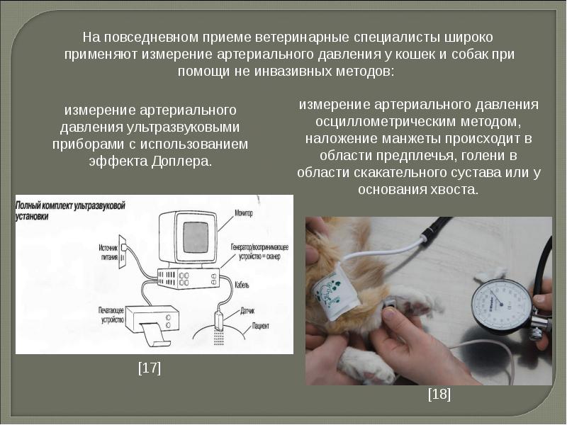 Алгоритм измерения давления. Измерение артериального давления осциллометрическим методом. Методы измерения ад осциллографический. Осциллографический метод измерения артериального давления. Осциллометрический метод измерения.