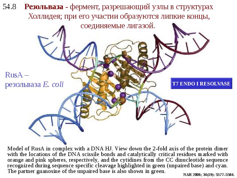 Спонтанные мутации картинки