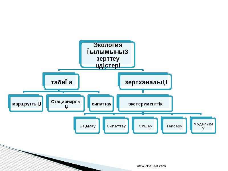 Перинатология негіздері презентация - 94 фото