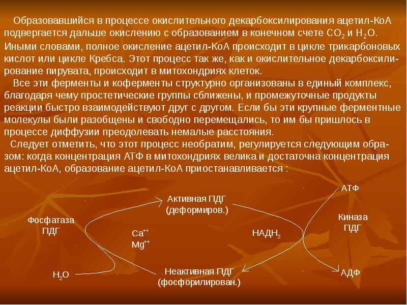 Окислительный процесс в мышцах