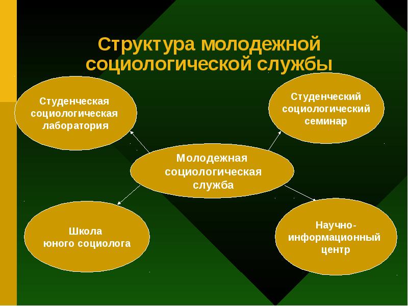 Социологическая служба. Структура социальной работы с молодежью. Социальная структура молодежи схема. Структура социальных служб для молодежи. Структура социальной службы.