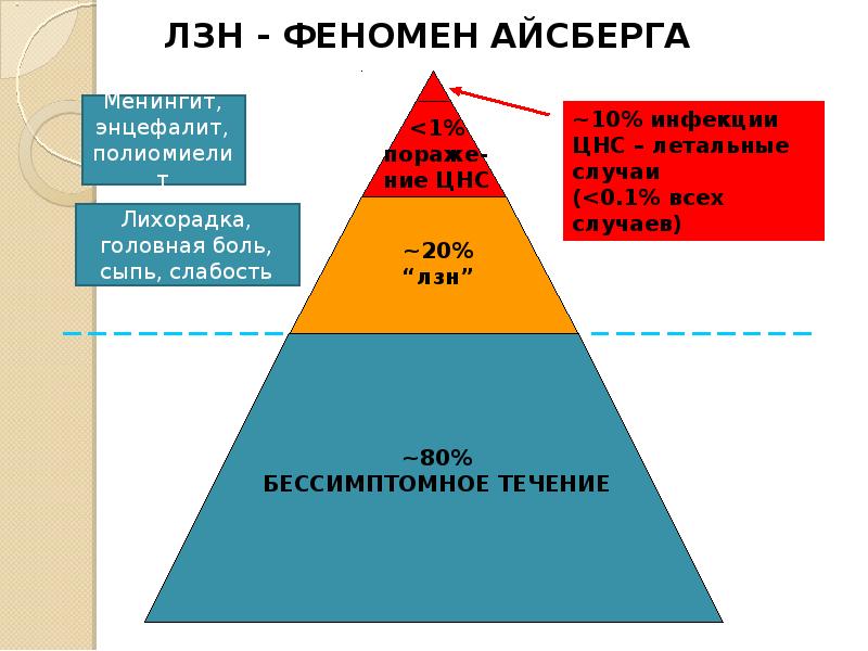 Н н феноменов