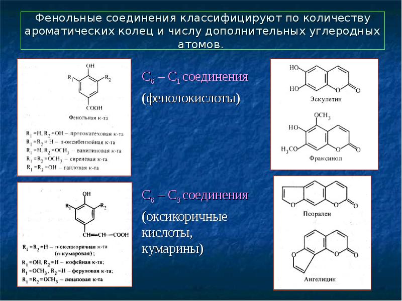 Фенольные соединения презентация