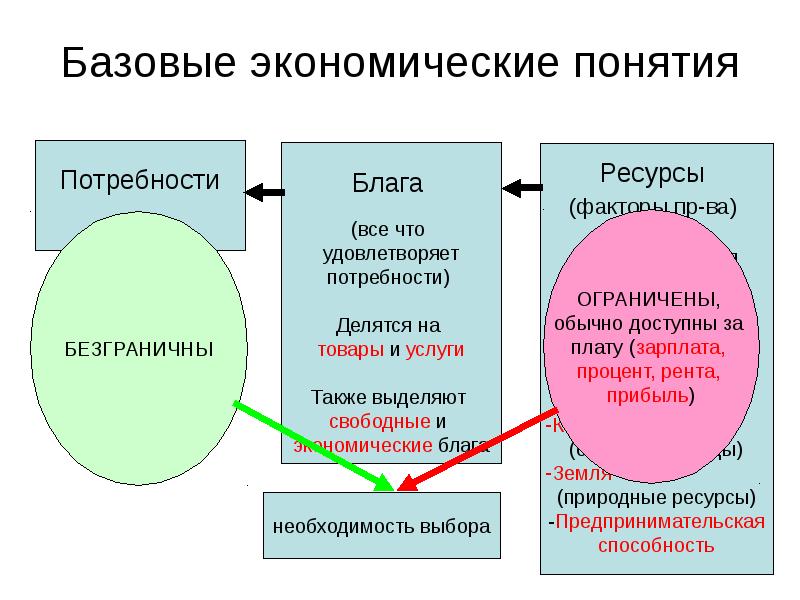 План общество объекты микроэкономики