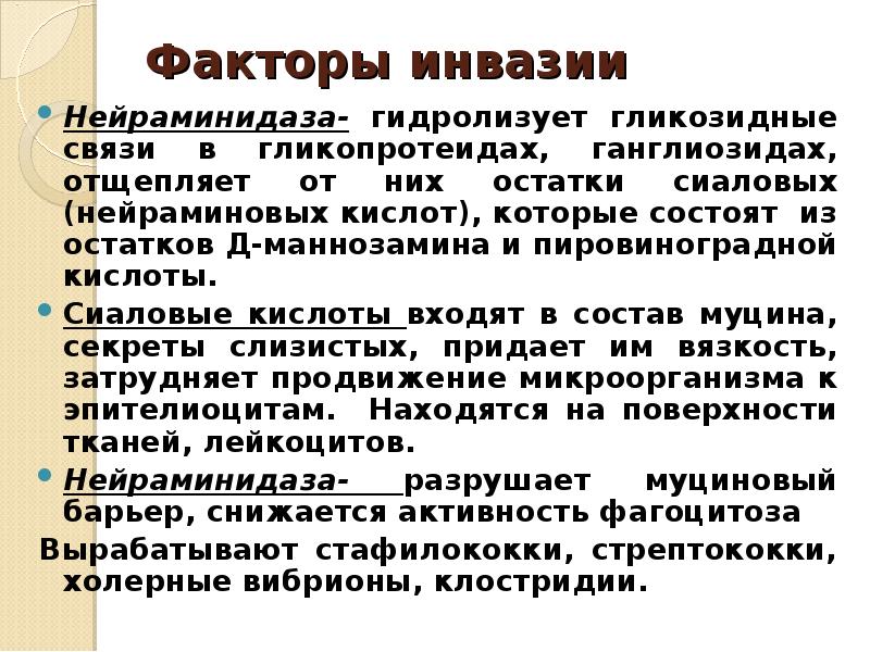 Что такое инвазия. Нейраминидаза бактерий. Факторы инвазии. Факторы инвазии бактерий. Факторы содействующие инвазии.